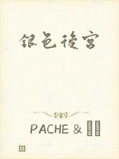 银色后宫