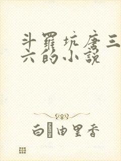 斗罗坑唐三当老六的小说封面