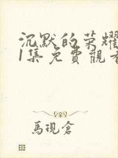 沉默的荣耀第11集免费观看