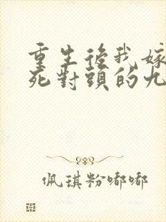 重生后我嫁给了死对头的九叔