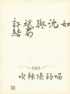 许斌与沈如玉大结局