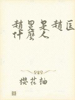 赵炅是赵匡胤的什么人