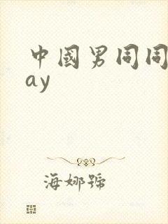 中国男同同性gay