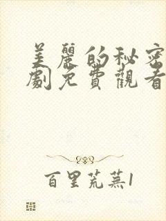 美丽的秘密电视剧免费观看第14集