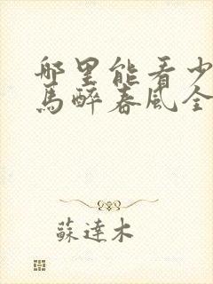 哪里能看少年白马醉春风全集封面