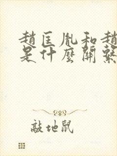 赵匡胤和赵匡胤是什么关系封面