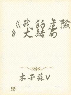 《我的危险妻子》大结局封面