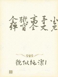 全职高手小说无弹窗全文免费阅读