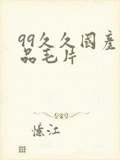 99久久国产精品毛片