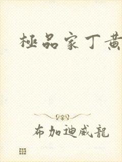 极品家丁黄文