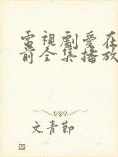 电视剧爱在日落前全集播放封面