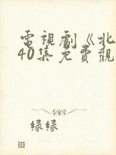 电视剧《北上》40集免费观看封面