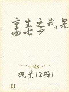 重生之我是金燕西七少