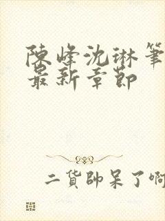 陈峰沈琳笔趣阁最新章节