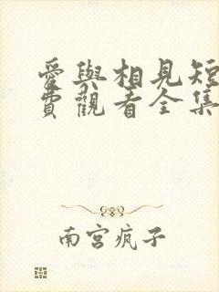 爱与相见短剧免费观看全集高清