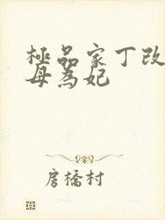 极品家丁改编册母为妃
