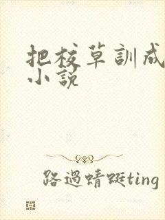 把校草训成狗的小说