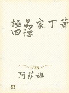 极品家丁萧夫人四德