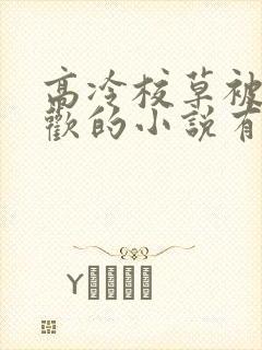 高冷校草被迫承欢的小说有哪些