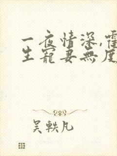 一夜情深,霍先生宠妻无度小说全部章节