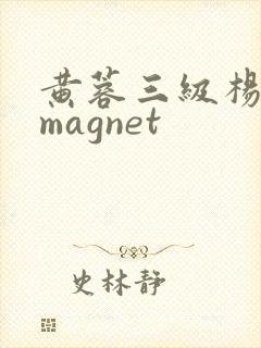 黄蓉三级杨贵妃magnet