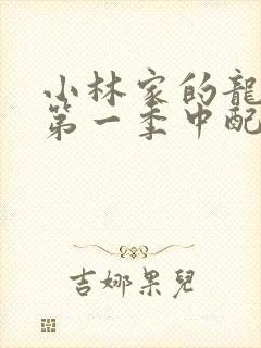 小林家的龙女仆第一季中配