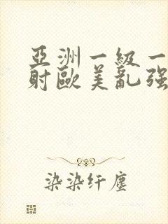 亚洲一级一片内射欧美乱强