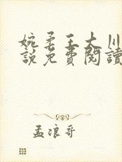 婉柔王大川的小说免费阅读最新