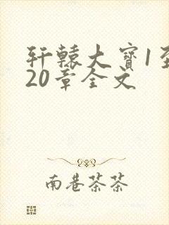 轩辕大宝1至720章全文封面