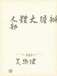 人体大胆瓣开下部