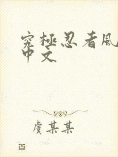 究极忍者风暴4中文