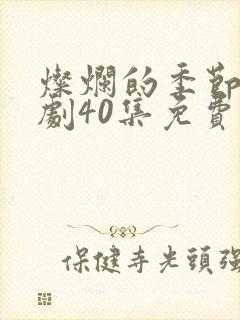 灿烂的季节电视剧40集免费封面