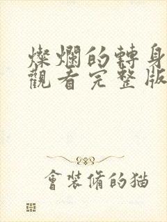 灿烂的转身免费观看完整版电视剧高清