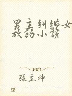 男主纠缠女主不放的小说