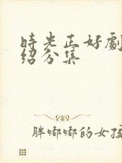 时光正好剧情介绍分集封面