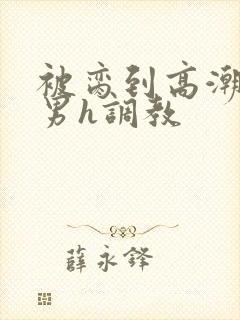 被脔到高潮的直男h调教