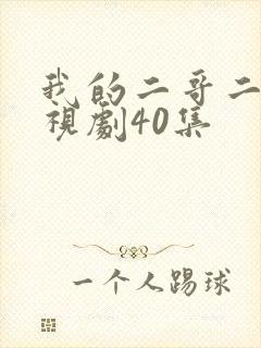 我的二哥二嫂电视剧40集