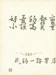 好看的都市言情小说高质量文笔好封面