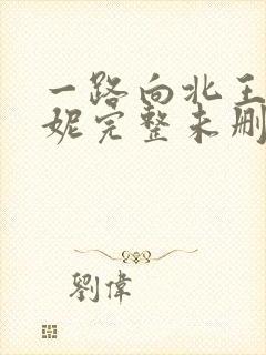 一路向北王李丹妮完整未删减版封面