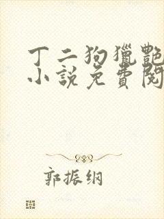 丁二狗猎艳人生小说免费阅读