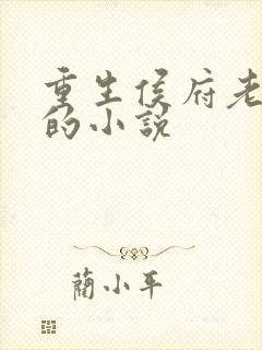 重生侯府老夫人的小说