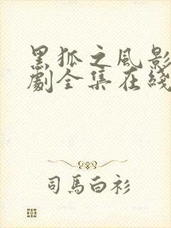 黑狐之风影电视剧全集在线观看免费