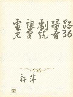 电视剧归路全集免费观看36集