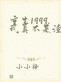 重生1999,我真不是渣男啊