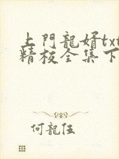 上门龙婿txt精校全集下载
