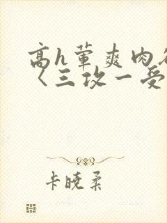 高h荤爽肉欲文〈三攻一受