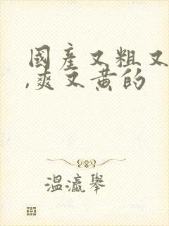 国产又粗又猛又,爽又黄的