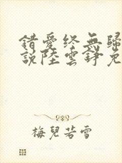 错爱终无归途小说陆云铮免费阅读封面