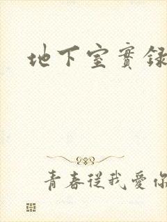 地下室实录封面