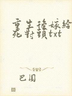 重生后嫁给前夫死对头txt